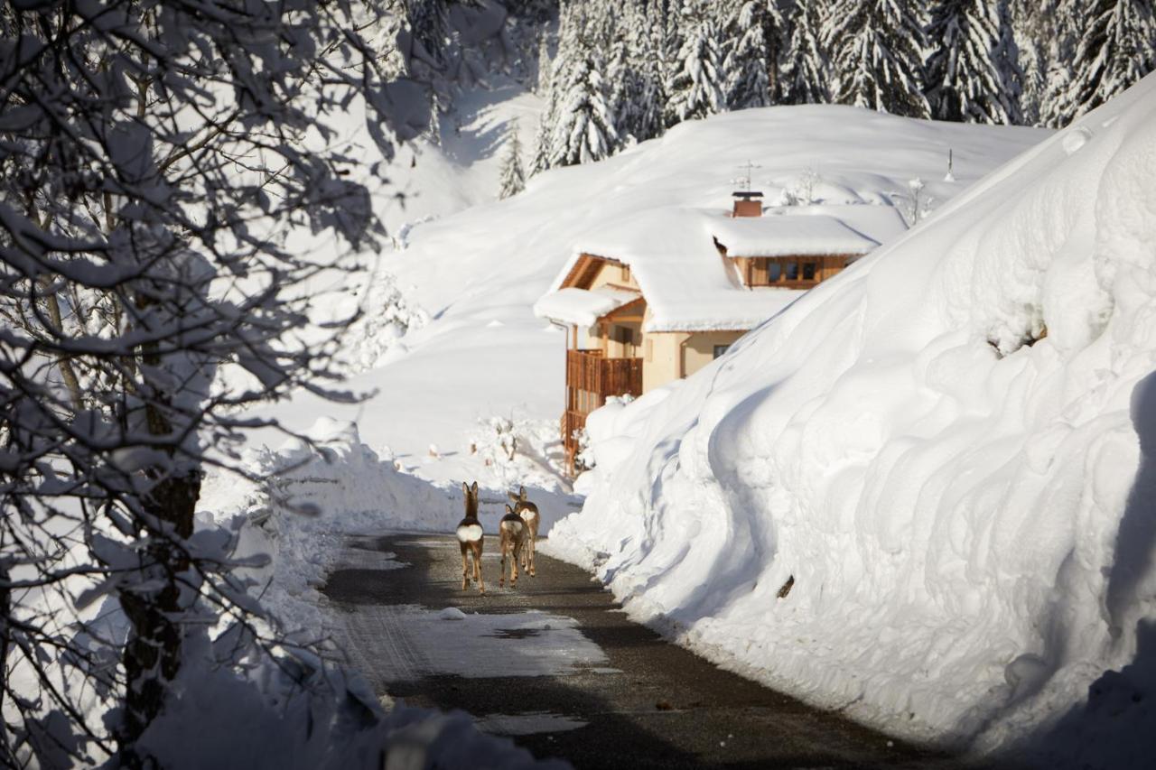 Sotciastel Antico Chalet Бадия Экстерьер фото